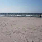 Skandynawskie Kopalino