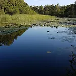 Skandynawskie *