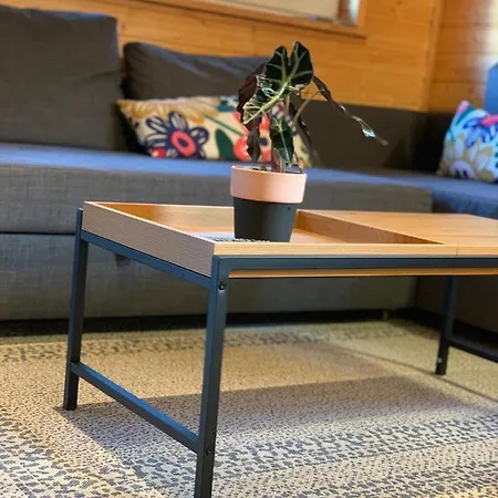 Skandynawskie コパリノ