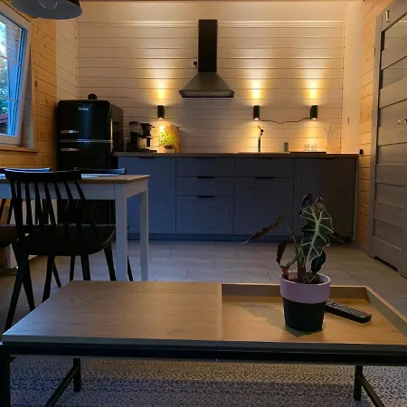 Skandynawskie Holiday home Kopalino