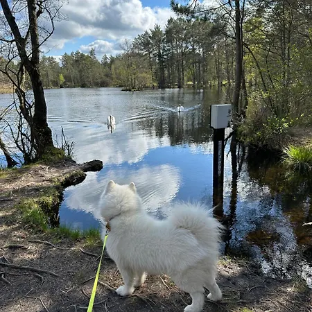 Skandynawskie 別荘