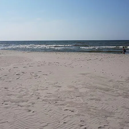 Skandynawskie コパリノ