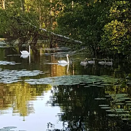 別荘 Skandynawskie