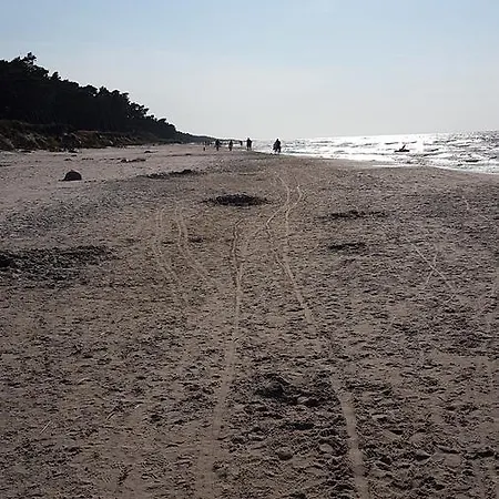 Skandynawskie *