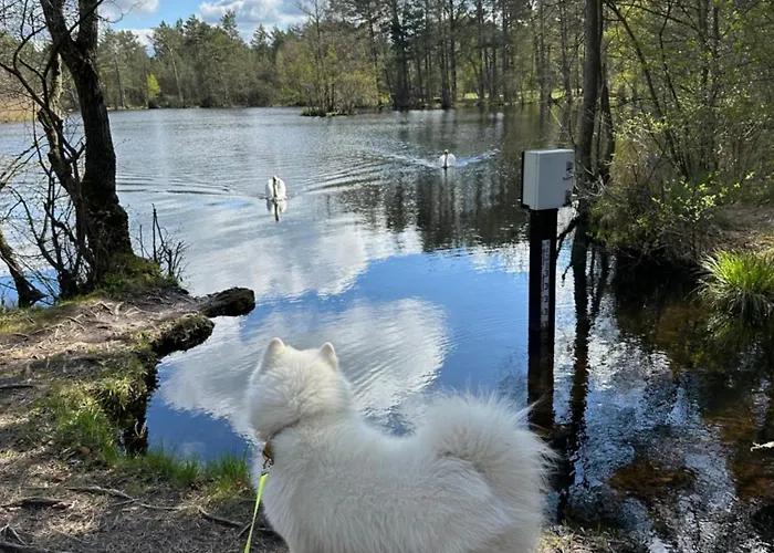 Skandynawskie Prázdninový dům