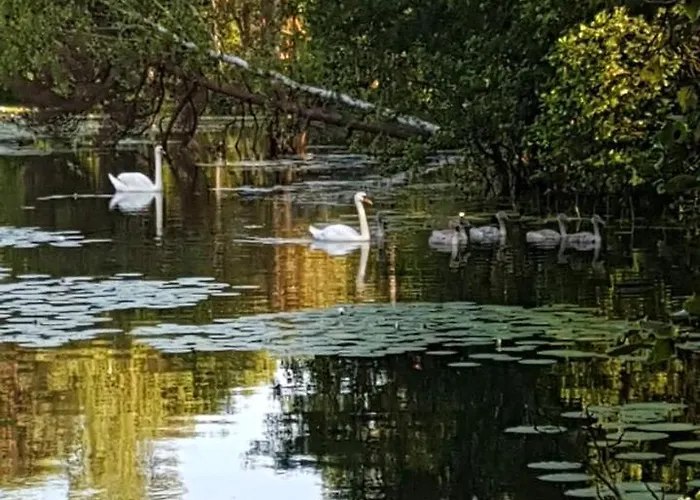 Prázdninový dům Skandynawskie